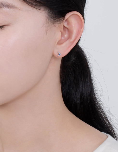 Gümüş ve Mavi Zirkonya Hilal Çiviler