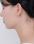 Elegant Fan-Shaped Stud Earrings with CZ & Sterling Silver