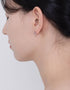 Elegant Fan-Shaped Stud Earrings with CZ & Sterling Silver
