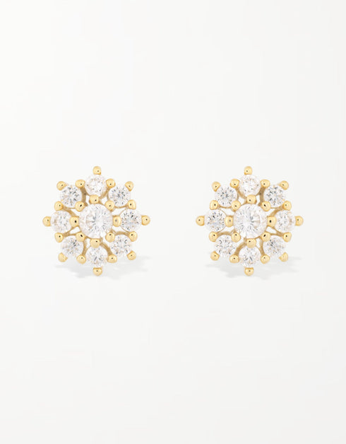 Büyülü Kış Şıklığı: Gümüş Kar Tanesi Küpe