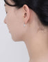 Sterling Silver Dual Crystal Drop Earrings - Korean Designer