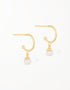 优雅的金色珍珠吊式耳环