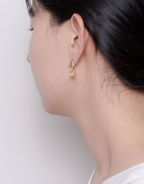 Altın Zarafet Halka Çivileri: Gelişmişliğe Açılan Kapınız